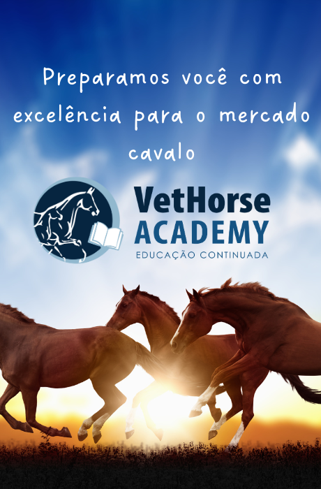 VetHorse Academy