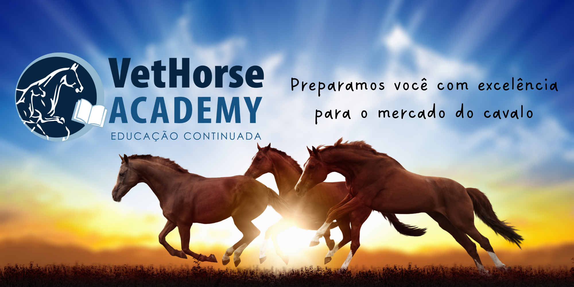 VetHorse Academy