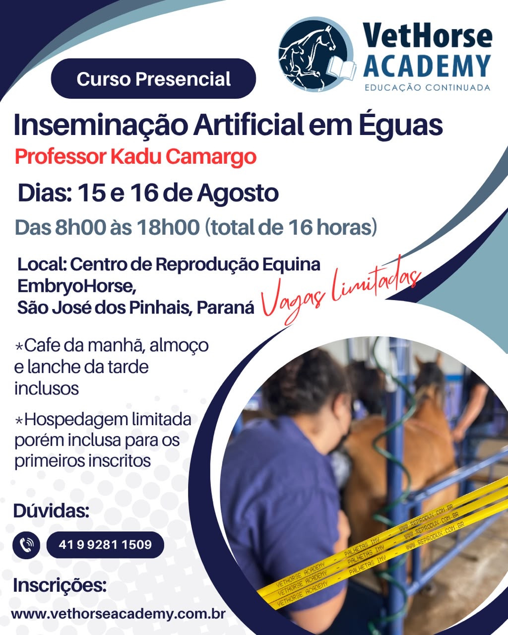 Inseminação Artificial em Éguas 