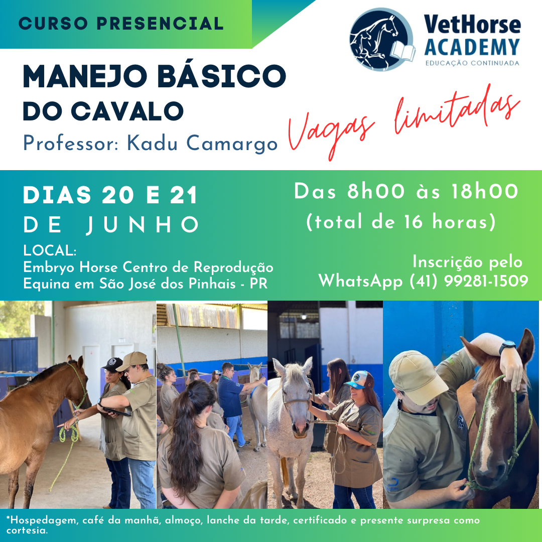 Manejo Básico do Cavalo 